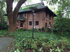 -中山大学学者灵芝(园南路店)