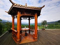 -中国大熊猫保护研究中心雅安碧峰峡基地