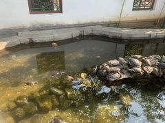 -红螺寺