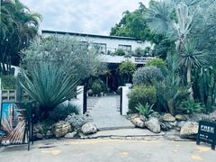 -自由生长植物工作室(深港花卉中心店)