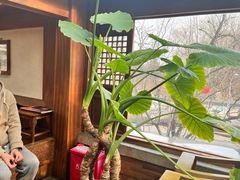 -小吊梨汤·北京菜(香山店)