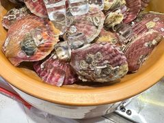 -龍歌自助小火锅(市南金茂湾店)