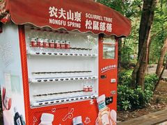 -成都松鼠部落