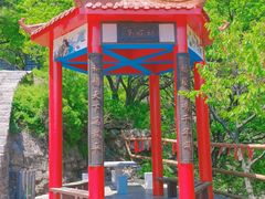 -金龙寺国家森林公园