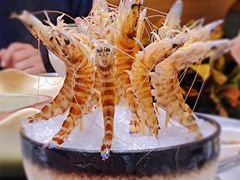 -红鼎豆捞·非遗鲍皇汤火锅(宝丰路店)