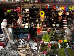 -青石桥花鸟鱼虫市场(叠翠城店)