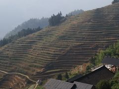 -紫鹊界梯田景区