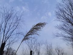 -东郊湿地公园