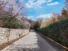 -静之湖度假区