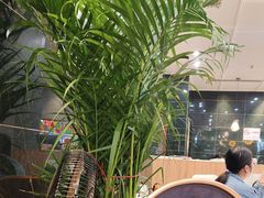 -叹茶靓点·粤式餐厅·全天茶市(石井万民广场店)