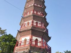 -李氏圣鲸大型自助餐