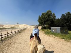 -库伦旗银沙湾旅游景区