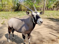 -大连森林动物园