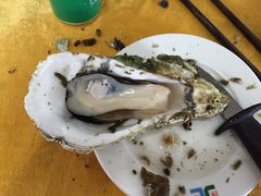 -蚝专家(北滘店)