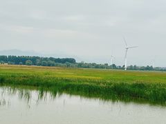 -野鸭湖国家湿地公园