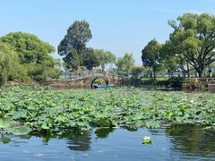 -无锡蠡湖国家湿地公园-蠡园