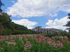 -青青世界