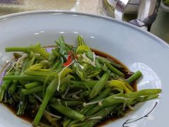 清炒金针-南湖船菜大酒店