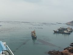 -枸杞岛