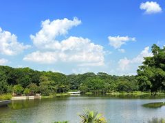 -东莞植物园