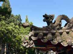 -华清宫景区