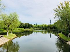 -上海鲜花港