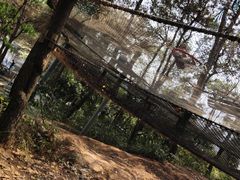-芦仙山景区-飞越丛林探险乐园
