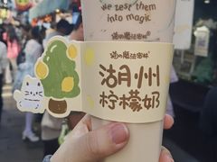 -猫的魔法密林(衣裳街店)