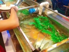 -V-ONE西雅图海鲜自助餐厅(仓山万达广场店)