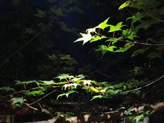 -炊烟餐厅