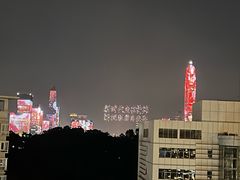 -莲花山公园