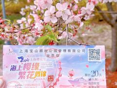 -顾村公园