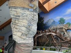 -延庆地质公园博物馆