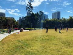 -狐尾山公园