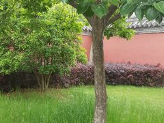 -龙王庙行宫