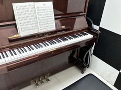 -谈·PIANO(金唐新光界店)