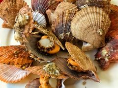 -宾朋海鲜特色美食餐厅·纯手工鲅鱼水饺(兴海路店)