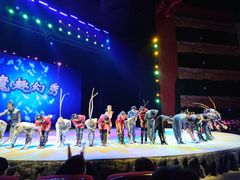 -水秀国际大剧院