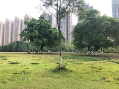-成都南湖公园
