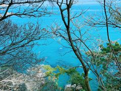 -海源公园