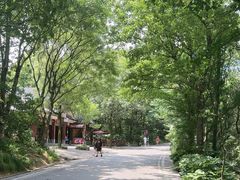 -岳麓山风景名胜区