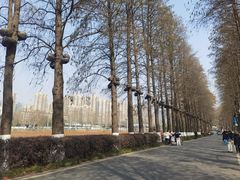 -东湖落雁景区