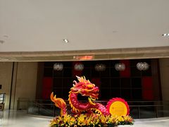 -南京禄口机场雅高铂尔曼大酒店