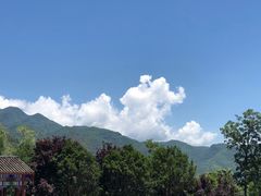 -后柳水乡