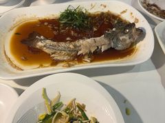 -云中小雅