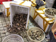 -江杨农产品批发市场