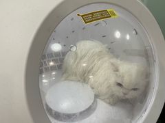 -中农大我爱我爱动物医院·核磁CT·猫病·24小时夜诊中心(石佛营店)