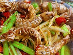 重庆爬爬虾-辣盆盆麻辣小龙虾(哈尔滨总店)