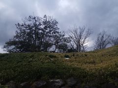 -雕刻之森美术馆
