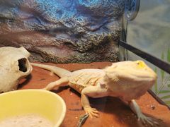 -藦茜花园宠物主题亲子互动体验馆(国顺东路店)